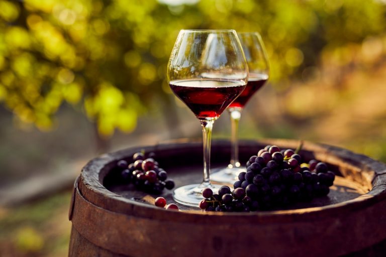 Dégustation vin